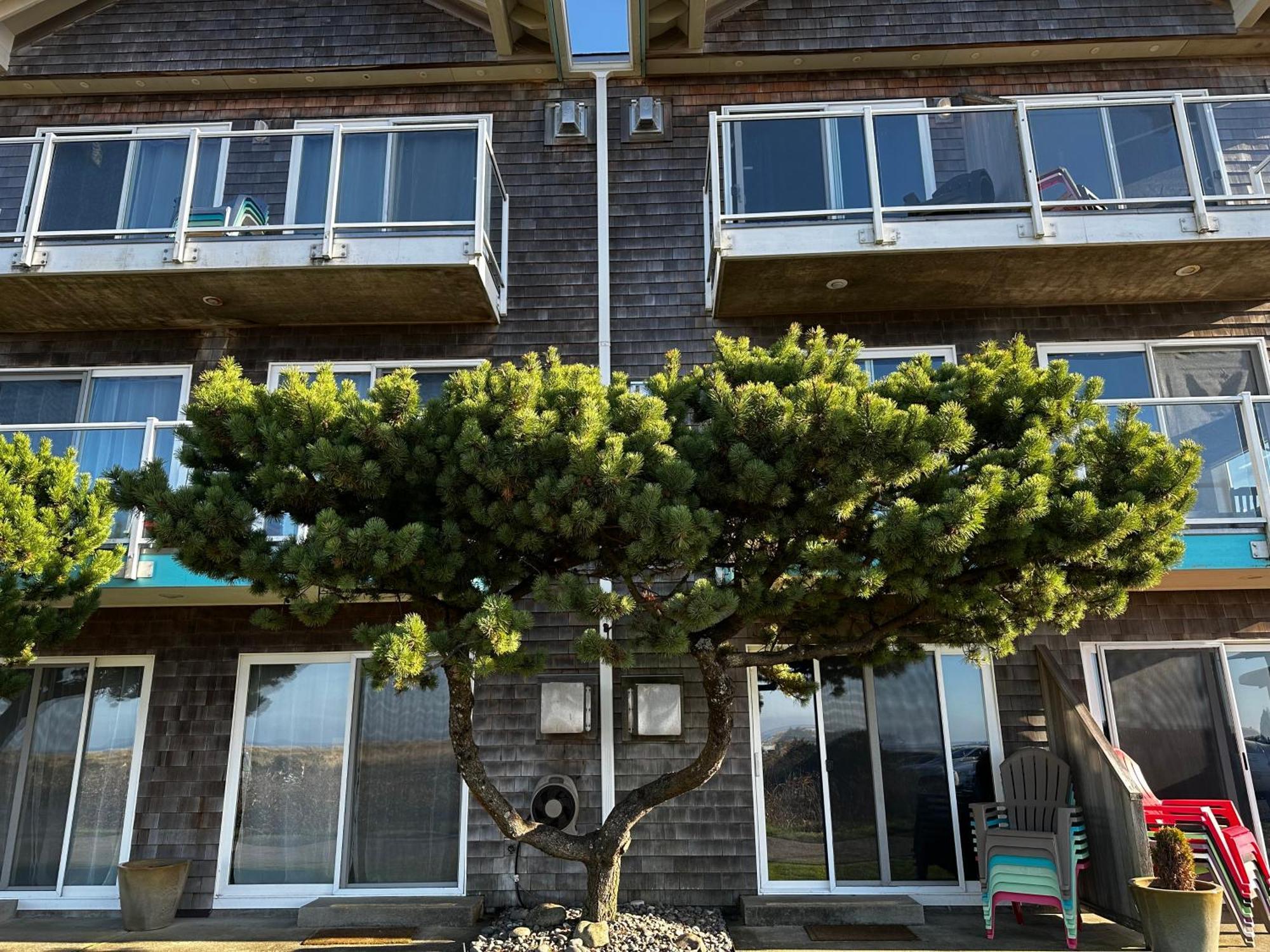 Inn At The Shore Seaside Exterior photo